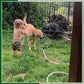 360-Grad-rotierender Garten-Sprinkler