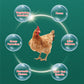 🐓Oral-Lösung gegen mehrere Symptome bei Geflügel🔥💯