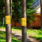 Doppelseitige, klebrige Insektenfallenroll