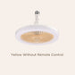 🌟Deckenventilator mit Licht und Fernbedienung für Aromatherapie🌟